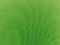 CD: Grüne Pantone-Farbe auf Deckweiß