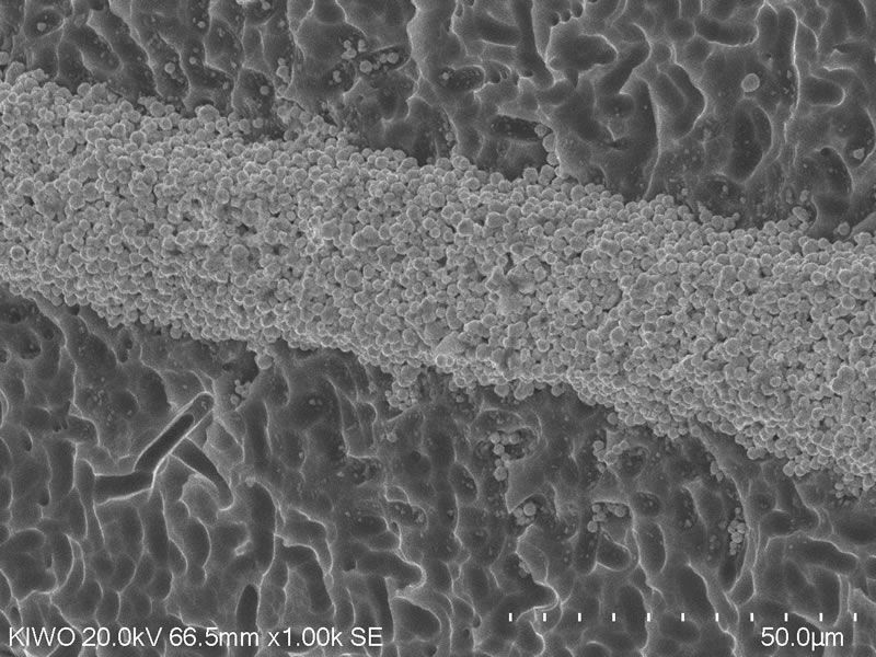 25 µm Leitfinger - gedruckt auf Siliziumwafer