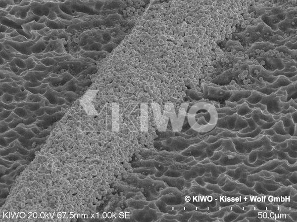 25 µm Leitfinger - gedruckt auf Siliziumwafer 